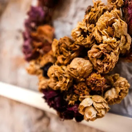 House Lea بيت للعطل